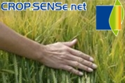 CROP.SENSe.net: Derivation of 3D Plant Architectures